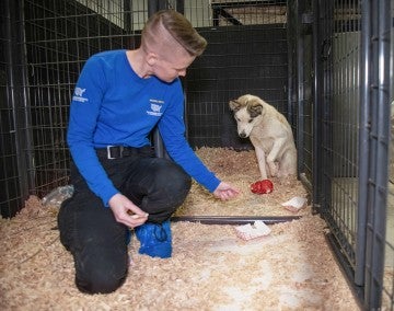 Inside a kennel, DeMent backs her way into a frightened dog’s presence.