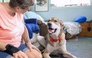 Woman with happy dog