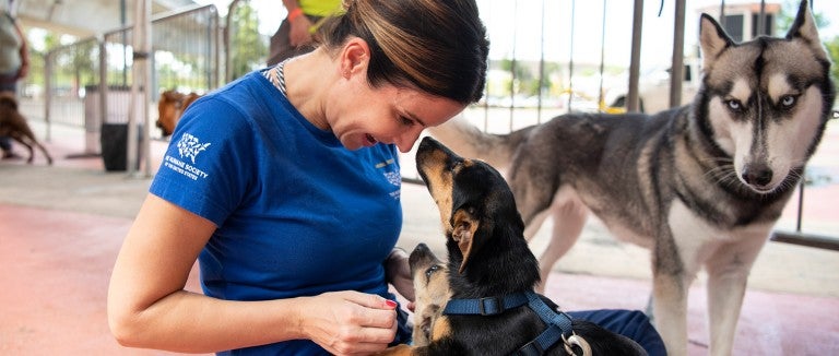 HSUS staff cuddling dogs at Spayathon event