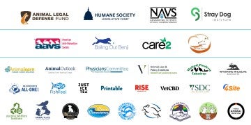 A collage of logos showing the sponsors of Taking Action for Animals 2024
