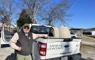 A man stands next to a truck filled with doghouses