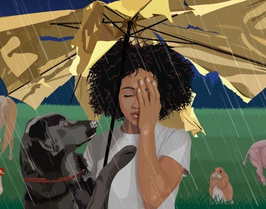 Illustration of sad woman under a broken umbrella in a rainstorm. A black dog tries to comfort her while animals endure the storm.