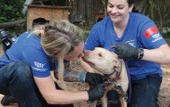 Two women rescue chained dog