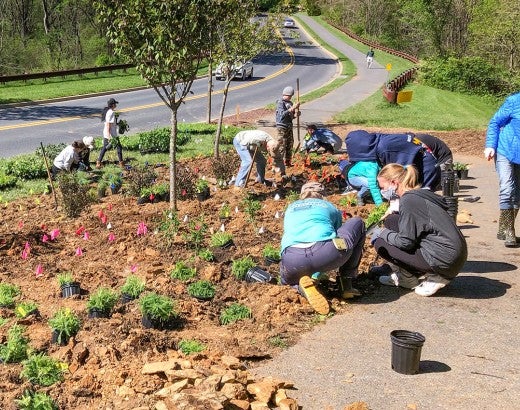 Neighbors working in a community garden