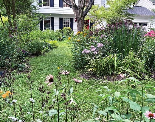 Photograph showing wildlife-friendly plantings in Janet and Jeff Crouch’s yard