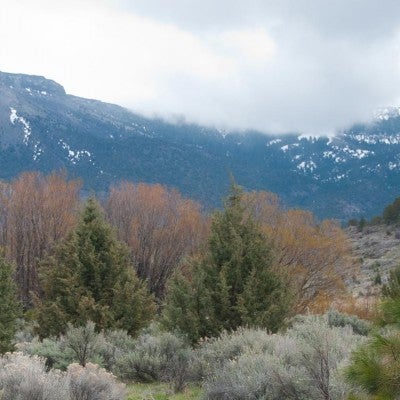 Landscape of Greenwood Preserve in Oregon