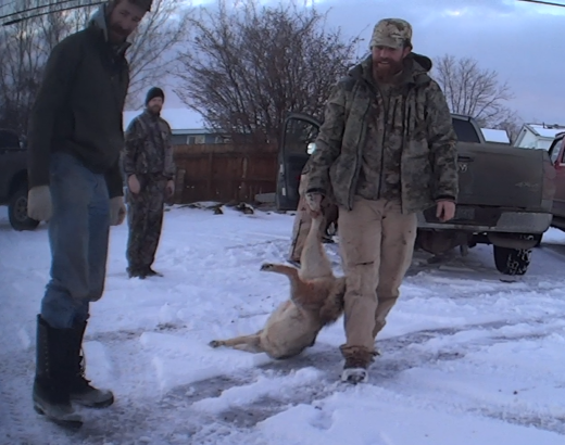 Oregon wildlife killing contest